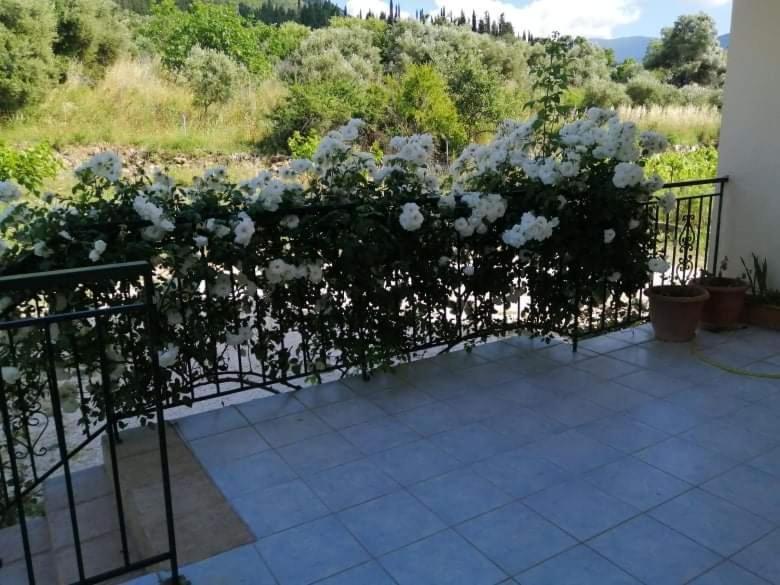 Rosegarden Villa Sami  Buitenkant foto