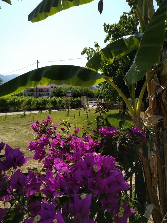 Rosegarden Villa Sami  Buitenkant foto